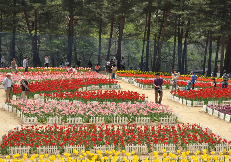 晴山保育園入園式